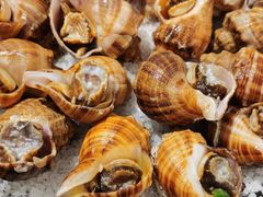 -光明招待所(邦凯科技园店)