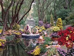 -上海共青森林公园