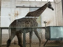 -石家庄市动物园