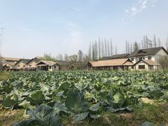 -乌村