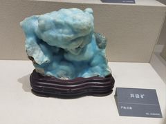 -安徽省地质博物馆