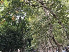 -徐家汇源景区-衡山公园