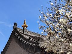 -护国法轮寺