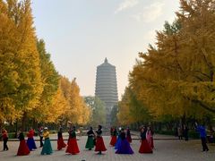 -玲珑塔公园