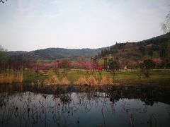 -石塘人家