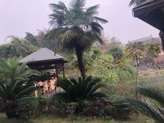 -咸宁万豪温泉谷度假区