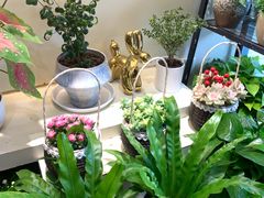 -花言草语(灵山路店)