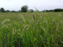 景点-汉长安城未央宫国家考古遗址公园