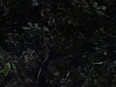 -荔景渔庄
