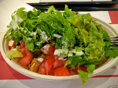 -油梨树 AVOCADO TREE(亮马桥店)