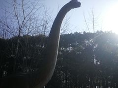 -洪湖悦兮半岛国际温泉度假村