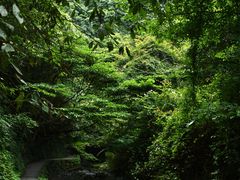 -夏霖九天银瀑风景区