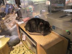 -姑苏二十四集(iD PARK 歌林公园店)
