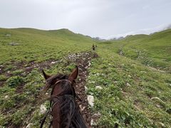 -新疆那拉提国家旅游度假区