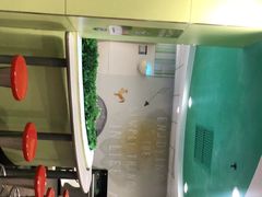 -麦当劳(温州人民路店)