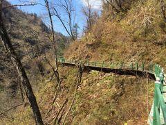 -凤凰山国家森林公园
