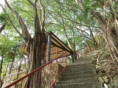 -小南山公园