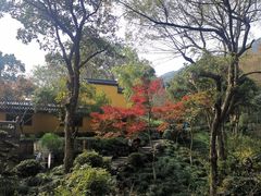 -灵隐飞来峰景区