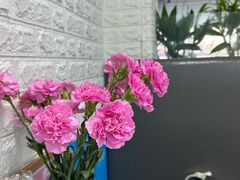 -来之顺海鲜菜馆·青岛菜·始于1993(栈桥店)