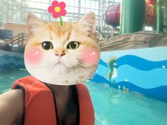 -四季贵州·山地温泉水世界