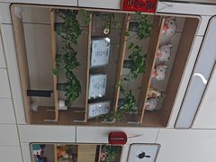 -凯瑞希宠物医院·狂犬免疫·微创·皮肤科