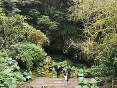 -海口火山口国家地质公园