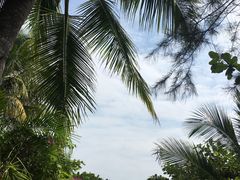 -亚龙湾红树林度假酒店御粤阁