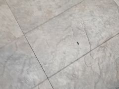 -巢爷老味(东方红店)