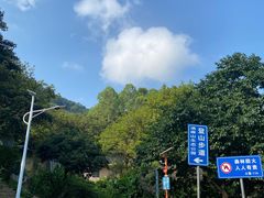 -黄埔油麻山森林公园