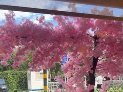 -赣江里•江西菜(望京旺角店)