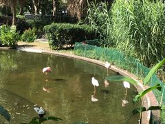 -九龙公园