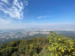 -紫金山索道-售票处