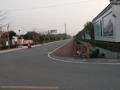 -天适樱花悠乐园