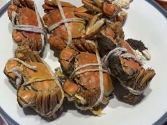 -杨氏青龙虾·羊蝎子(托乐嘉店)