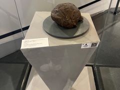 -北京周口店北京人遗址博物馆
