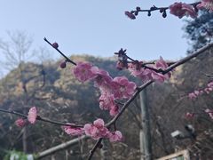 -黄公望隐居地