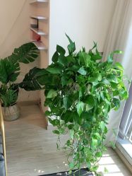 点击看大图 -纹绣阁·纹眉眼唇品牌