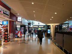 -约翰·菲茨杰拉德·肯尼迪国际机场