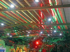 -老山东·山东菜(鲁菜名店)