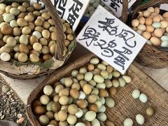 -示范集贸市场