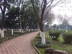 景点-汉水公园