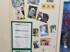 -爱妮康宠物医院·干细胞免疫细胞·肿瘤·心脏(张江店)