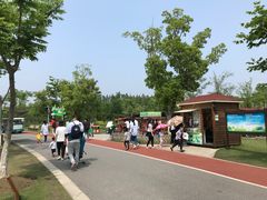 -上海长兴岛郊野公园