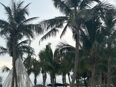-玫瑰海岸文化旅游度假区