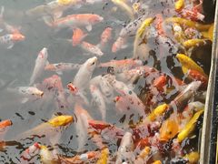 -泰安地下龙宫景区