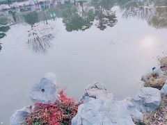 -金银湖国家城市湿地公园