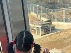 -石家庄市动物园