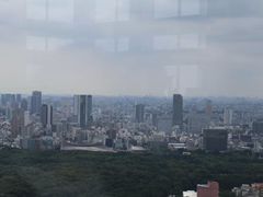 -东京都厅舍