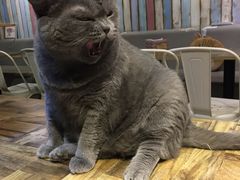 -小时光咖啡馆(开森度假森林店)