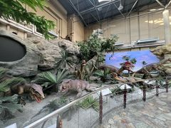 -国家自然博物馆